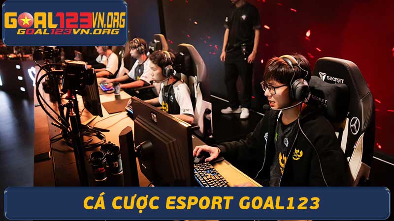 Cá cược Esport Goal123 - Nền tảng uy tín, tỷ lệ hấp dẫn